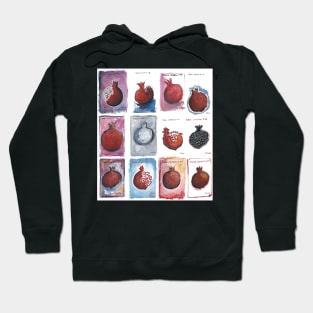 Punica granatum (pomegranate) Hoodie